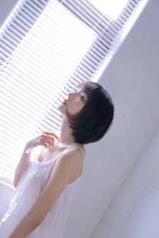 金花瓶楷梅花1玉女心